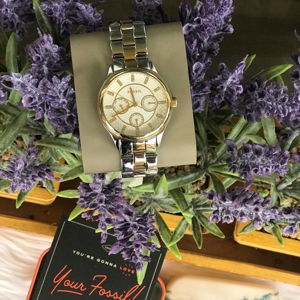 Fossil watch